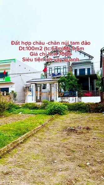 Đất Nền Tam Đảo 110m² - Sổ Hồng Sẵn Sàng - Giá Đầu Tư Hấp Dẫn