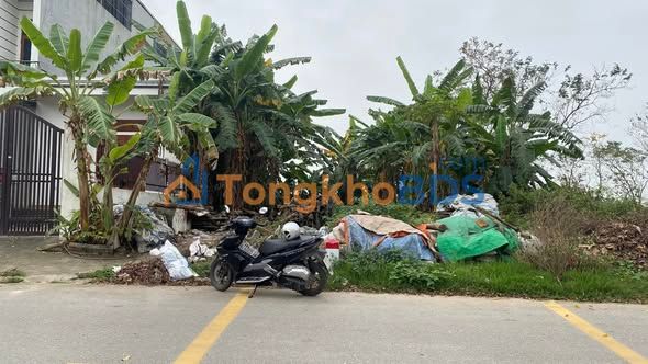 Đất Vĩnh Phúc 142m² Sổ Đỏ Sẵn - Cơ Hội Đầu Tư Hoàng Hoa