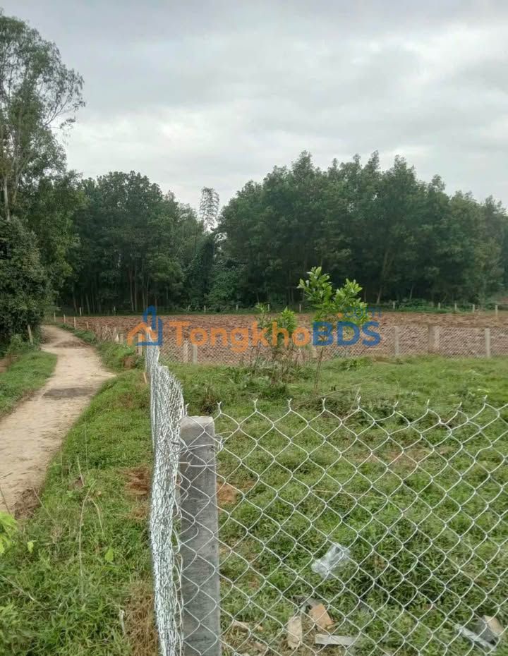 Đất Vườn Đà Nẵng 500m² Giá Tốt - Sổ Đỏ Rõ Ràng