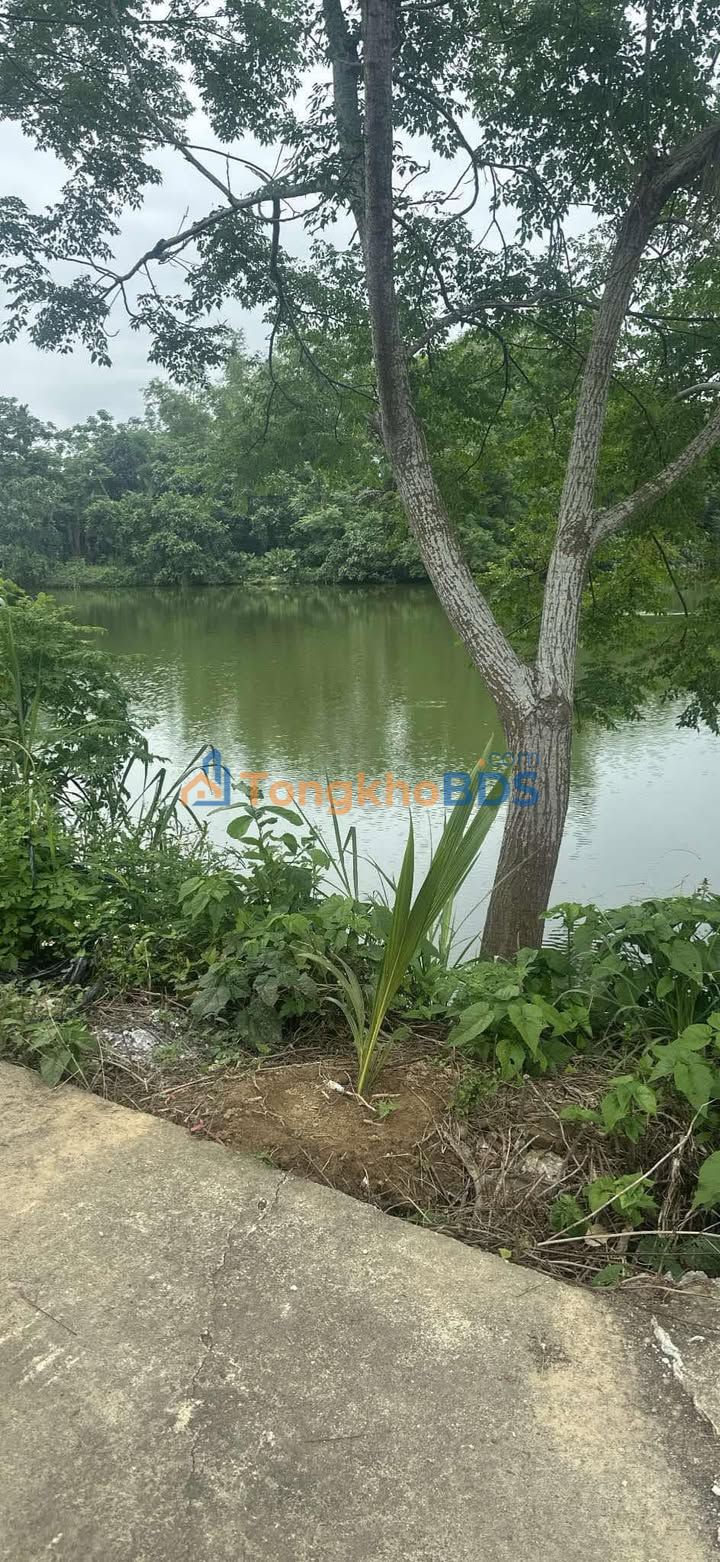 Đất nền Xã Gò Nổi, Điện Bàn 190m² - View hồ, dân cư đông đúc