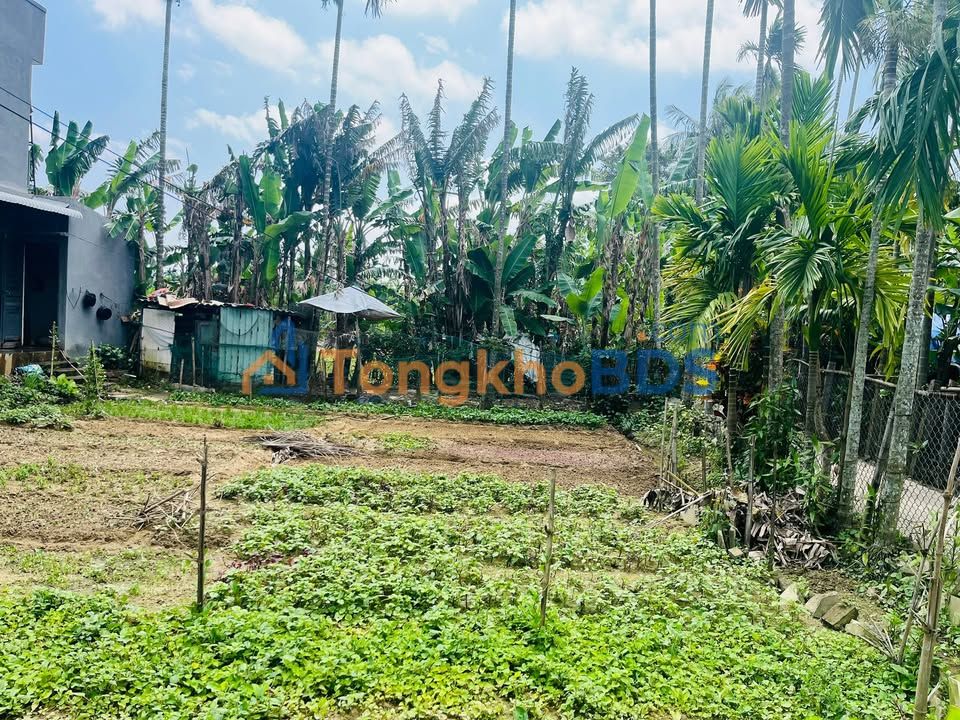 Bán Đất Lô Góc Tam Xuân 1, Quảng Nam - 186m² - Giá 5xx Triệu