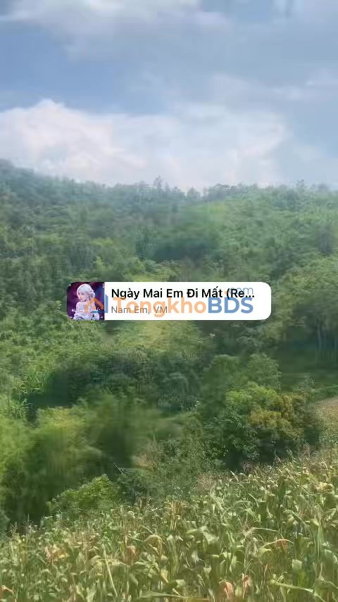 Đất Nền Lạng Sơn 9.6ha - Sổ Đỏ Chính Chủ, Sẵn Sàng Công Chứng