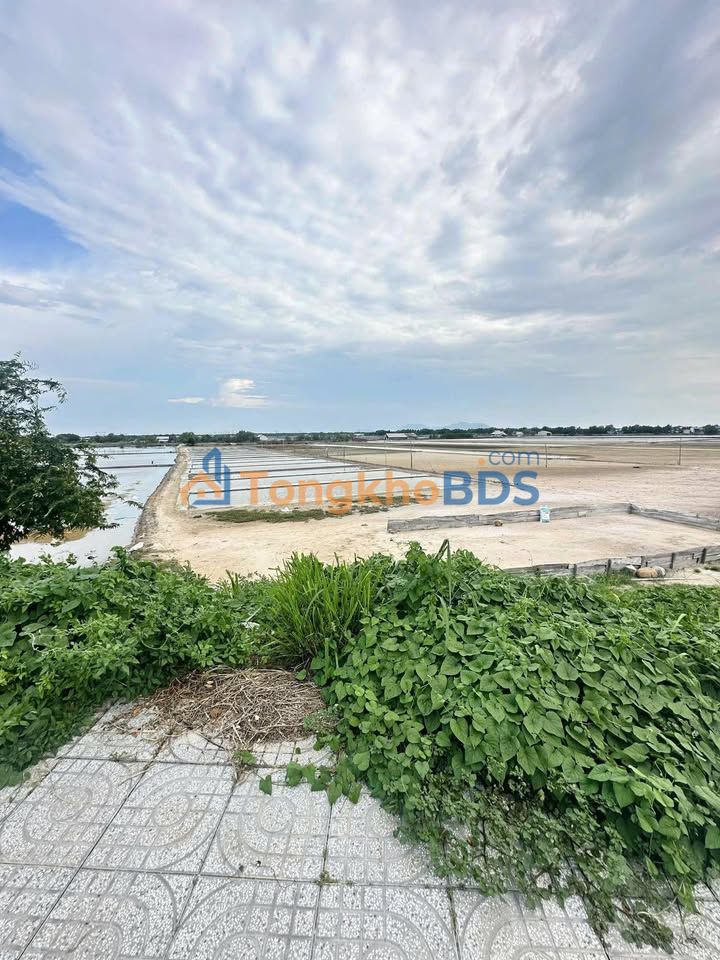 Đất Vàng Long Sơn 10.957m² - Mặt Tiền Trường Sa - Giá Đầu Tư 16 Tỷ