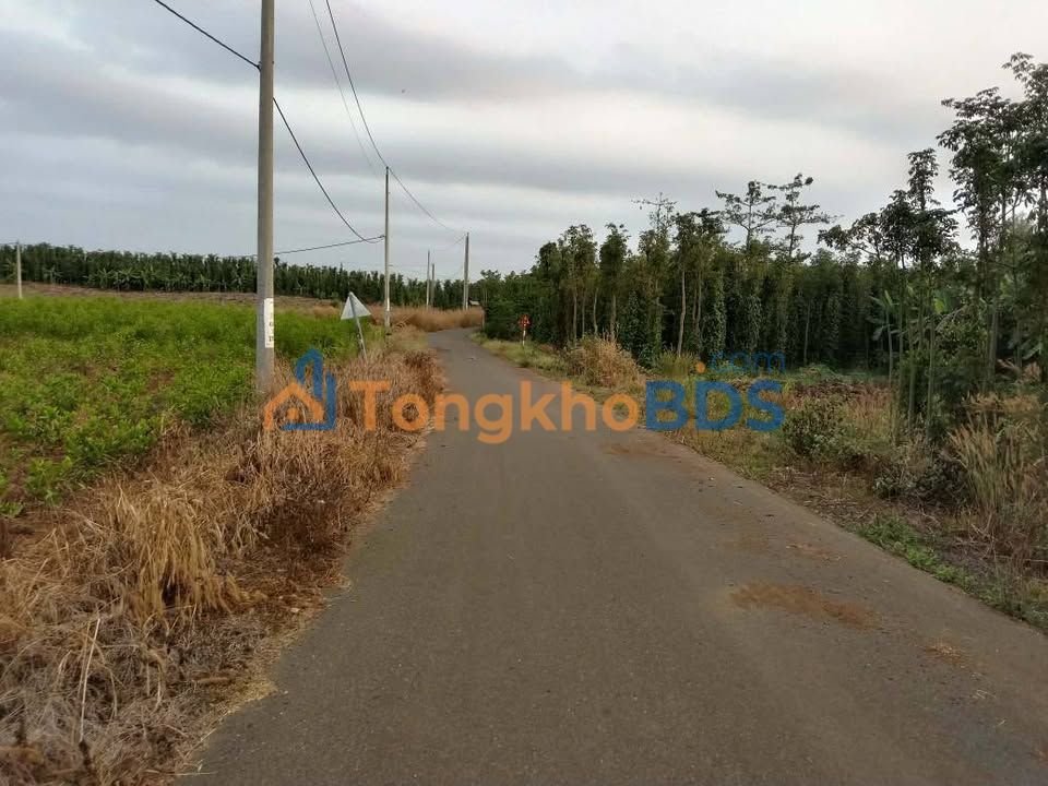 Đất Vàng 7200m² Mặt Tiền Nhựa Bình Trung, Châu Đức - Giá Đầu Tư 28.08 Tỷ