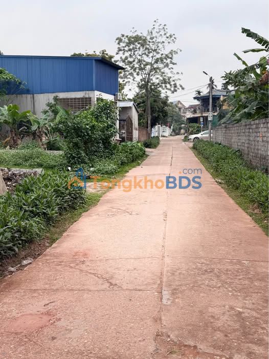 Đất Vàng Lõi Đồng Quang – Tách 2 Sổ Hồng Riêng 160m² – Kinh Doanh Đỉnh Cao