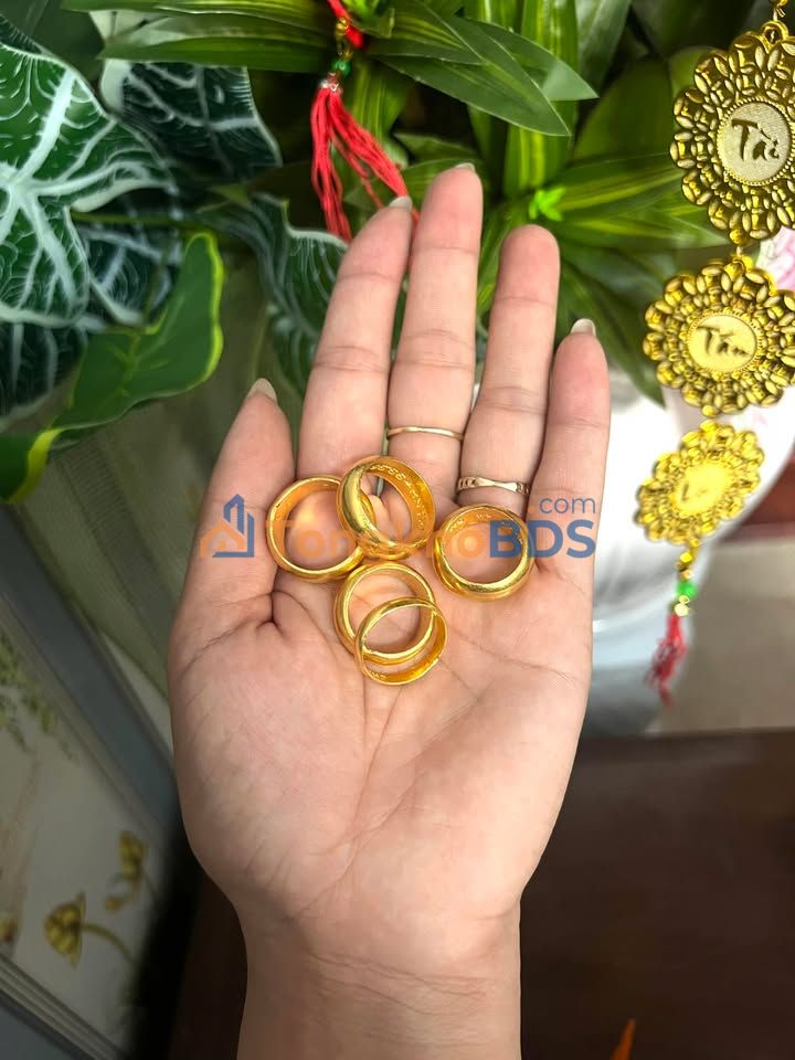 Bán Đất Dịch Vụ Liên Minh Nam Định 75m² Hướng Nam - Giá Đầu Tư