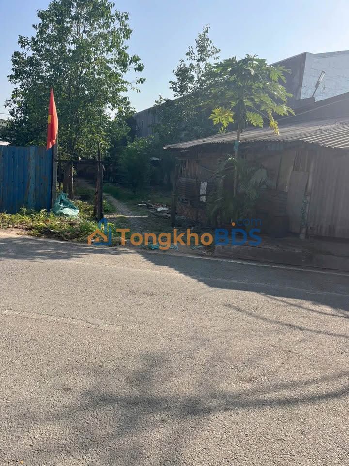 Đất Vàng Hóc Môn - 480m² Thổ Cư, Sổ Hồng Riêng, Giá 11.5 Tỷ