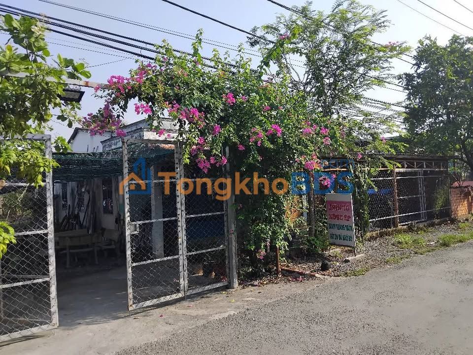 Bán Đất Tặng Nhà 630m² Mặt Tiền Nguyễn Thị Da, Củ Chi - Sổ Hồng Riêng