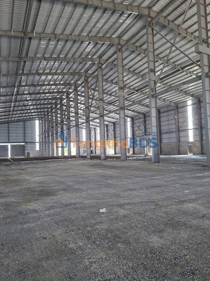 Cho thuê kho xưởng 2400m² KCN Long Cang, Long An - Giá tốt 60k/m²