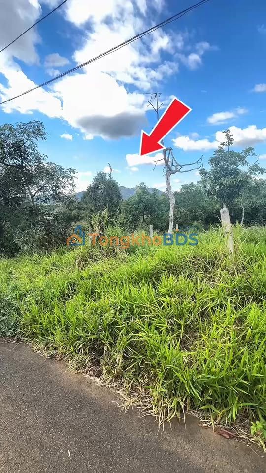 Đất thổ cư 200m² Lộc Đức, Bảo Lâm - Sổ hồng sẵn, ô tô vào tận nơi