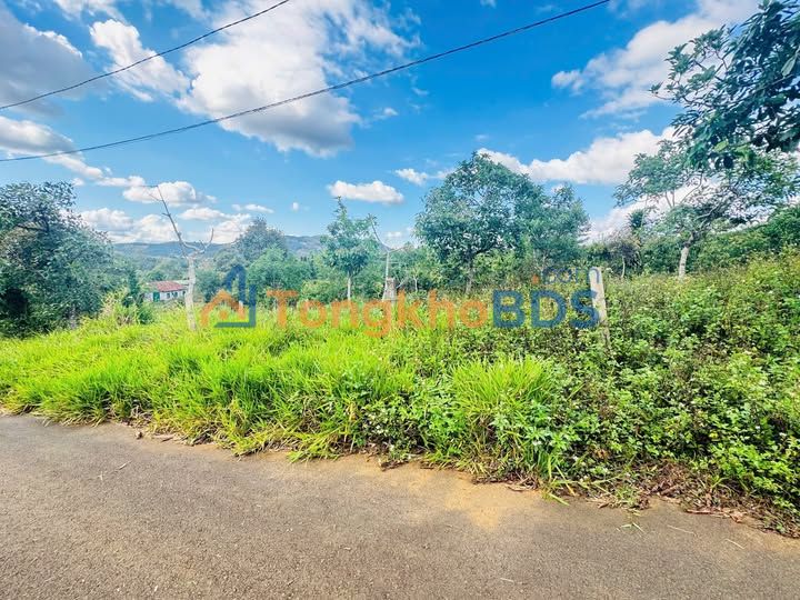 Đất Lộc Đức Bảo Lâm 200m² Thổ Cư - Đường Ô Tô, Sổ Hồng Sẵn