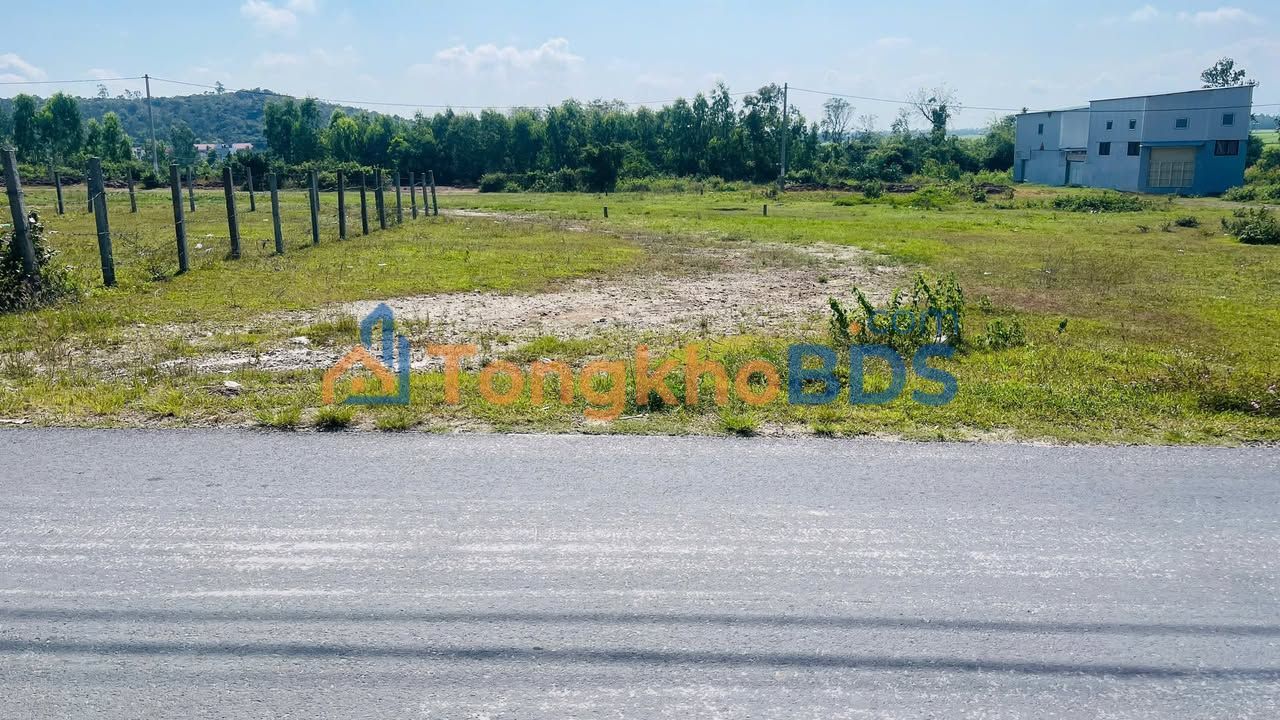 Đất Nền 150m² Phú Mỡ, Đồng Xuân - Sổ Hồng Thổ Cư, Giá Tốt