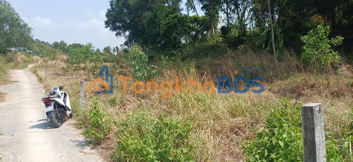 Bán Đất Vườn An Giang 1071m² - Giá 130 Triệu, Tựa Núi Thới Sơn