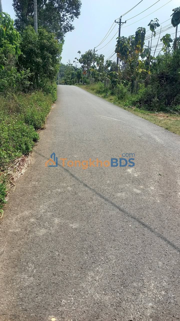 Đất Nền Sổ Hồng 175m² Mặt Tiền Đường Nhựa 600 Triệu - Nhơn Trạch