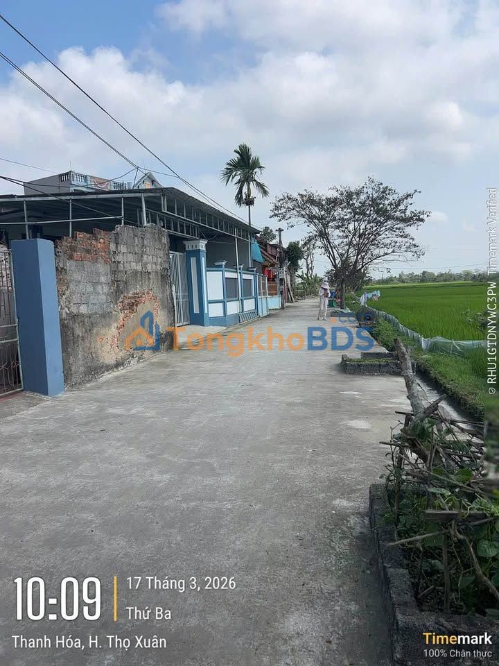 Đất Nền Thọ Xuân 200m² Vuông Vức - Sổ Đỏ Sẵn Sàng