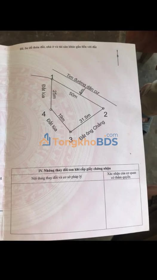 Bán gấp đất 1000m² Thôn 13, Như Thanh - Sẵn Sàng Đầu Tư