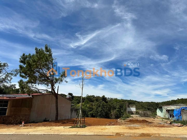 Đất Nền Măng Đen 210m² Full Thổ Cư - View Rừng Bao La