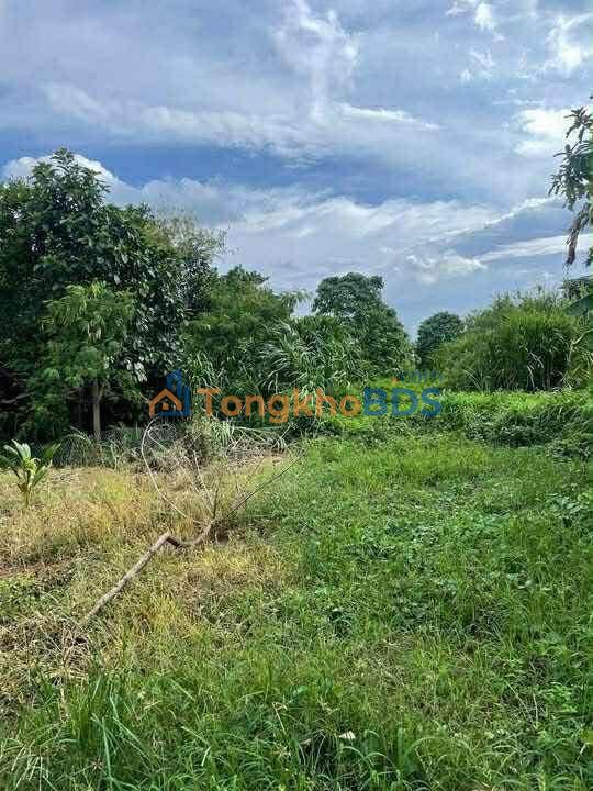 Đất nền Đồng Nai 1000m² mặt tiền Tà Lài - Sổ hồng sẵn, giá đầu tư 85 tỷ