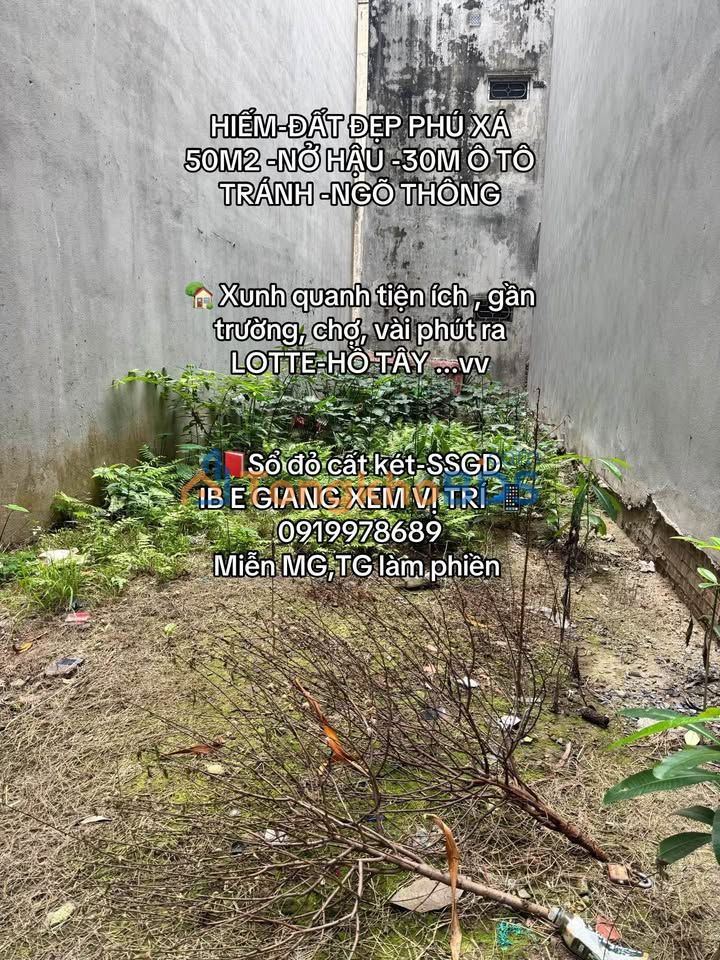 Đất Vàng Phú Thượng 50m² - Nở Hậu, Ô Tô Tránh, Ngõ Thông - Sổ Đỏ Sẵn Sàng