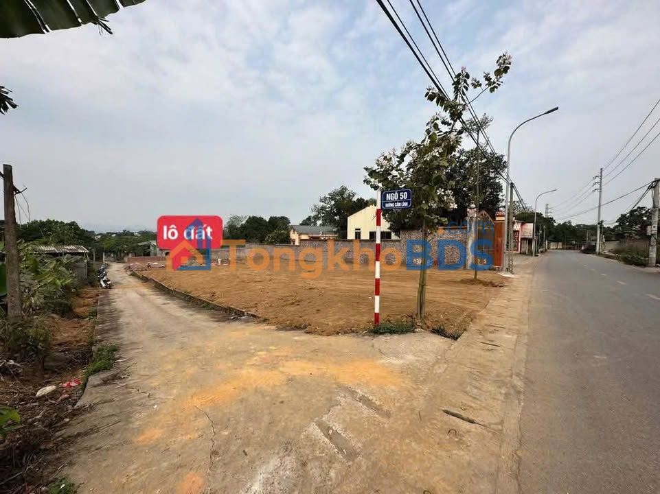 Bán đất thổ cư 100m² Cẩm Lĩnh, Ba Vì - Sổ đỏ sẵn sàng giao dịch