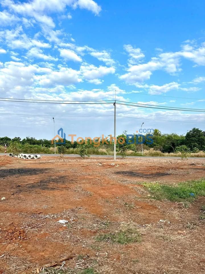 Đất Thống Nhất Đồng Nai 145m² Sổ Hồng Sẵn Sàng - Giá 1.2 Tỷ