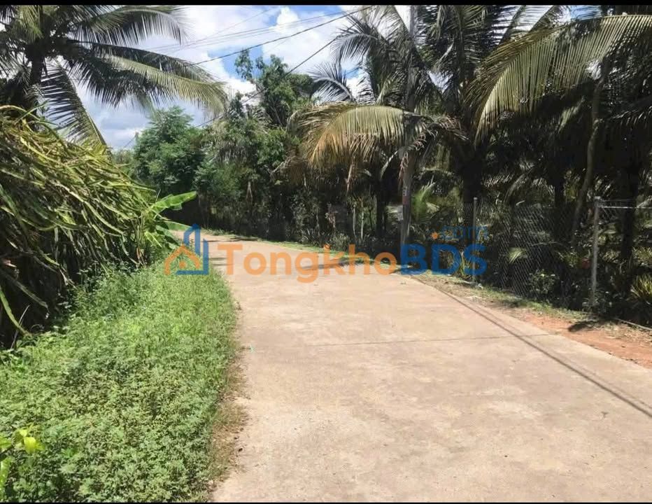 Đất Vườn 20.000m² Đồng Nai - Giá 4 Tỷ, Thương Lượng Trực Tiếp Chính Chủ