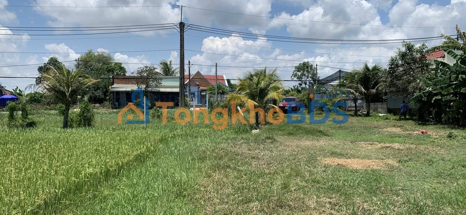 Đất nền Củ Chi 20.300m² mặt tiền Tỉnh lộ 7 - Tiềm năng kinh tế cao