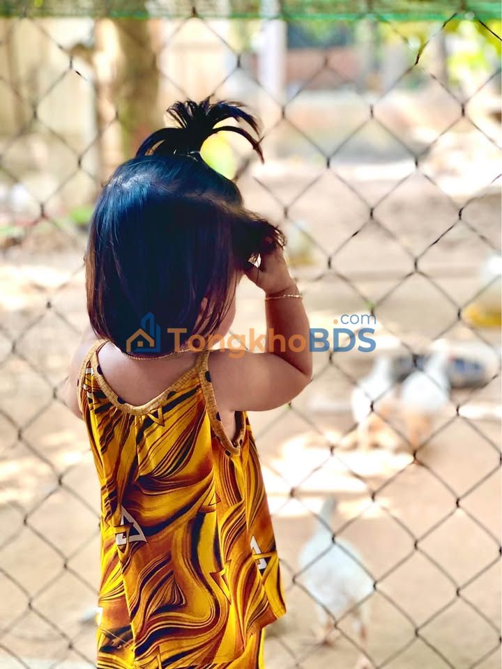 Nhà 67m² 5 tầng HXH Phan Xích Long, Phú Nhuận - 8.3 Tỷ TL