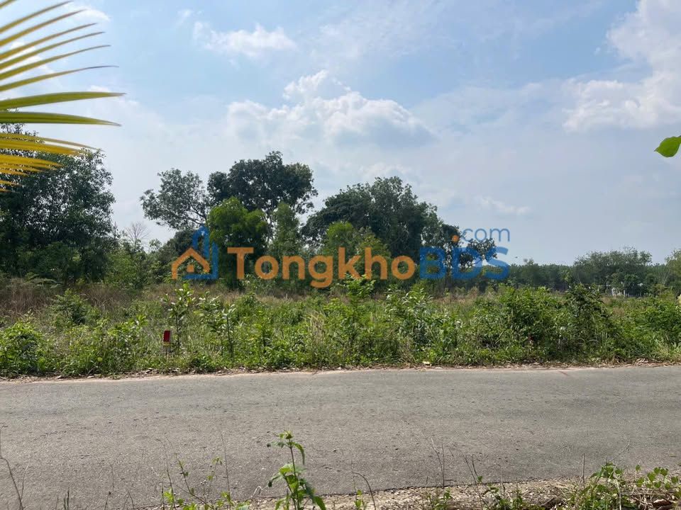 Đất Nền Dầu Tiếng 380m² - Sổ Hồng ONT, Gần Chợ Long Hoà