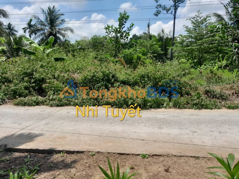 Bán 5 Nền Mặt Tiền Đanl, Cầu Kè, Trà Vinh - 140m²/nền, Giá 195 Triệu