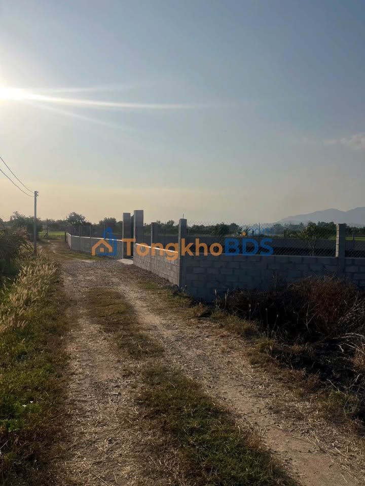 Đất Vườn 988m² Thôn Ninh Thuận - Hàm Liêm - Giá 750 Triệu