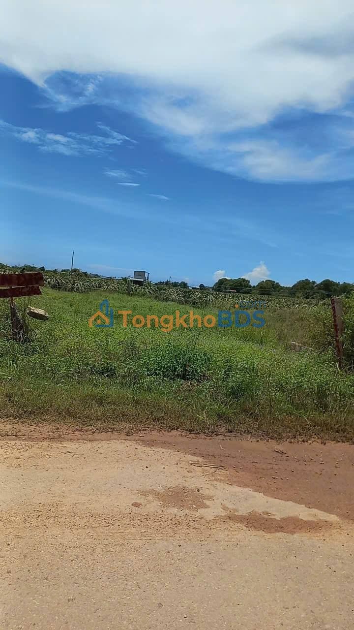 Bán Đất Nền 100m² Sổ Hồng Riêng Tại Tuy Phong, Bình Thuận