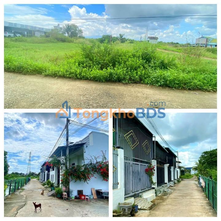 Đất thổ cư 1000m² mặt tiền 56m tại Cá Đồng, Bắc Bình - Giá 5.2 tỷ