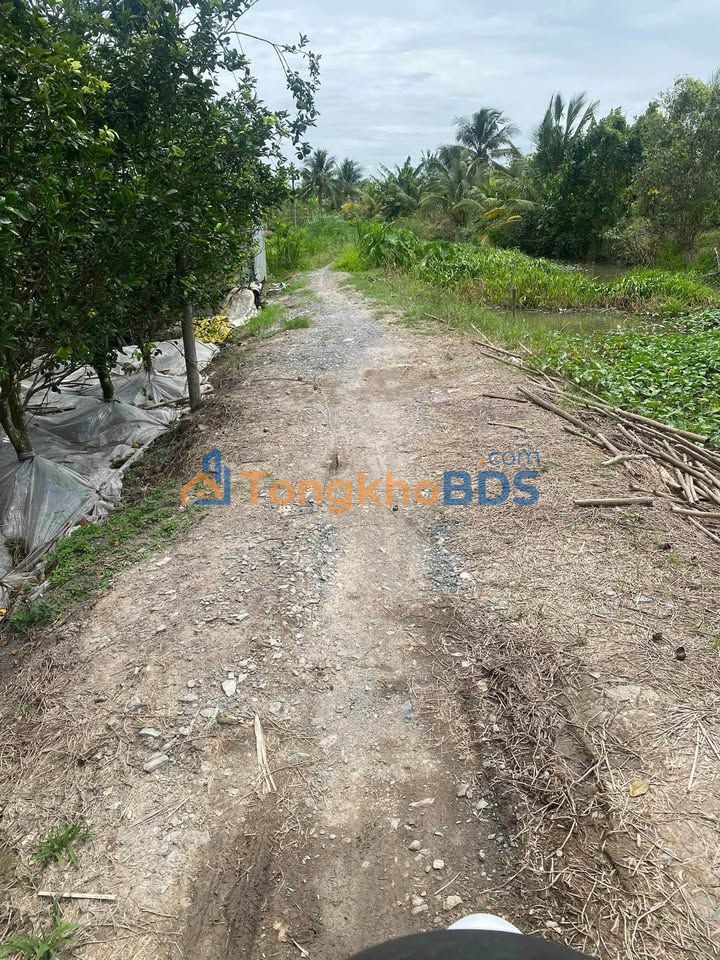 Đất Vườn Cam Vĩnh Long 6.347m² - Sổ Hồng Riêng, Giá Tốt Đầu Tư