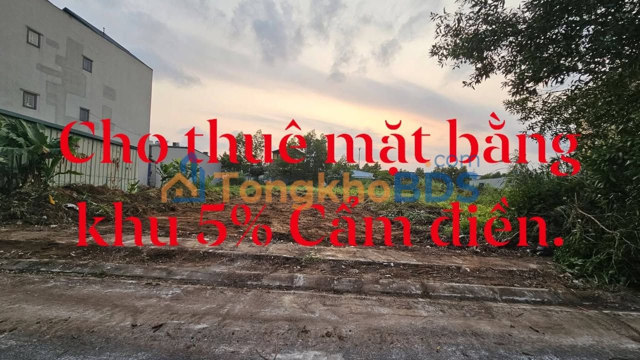 Bán Đất Mặt Tiền 127.5m² Khu 5% Cẩm Điền - Thích Hợp Kinh Doanh Nhà Hàng, Quán Ăn, Bi-a