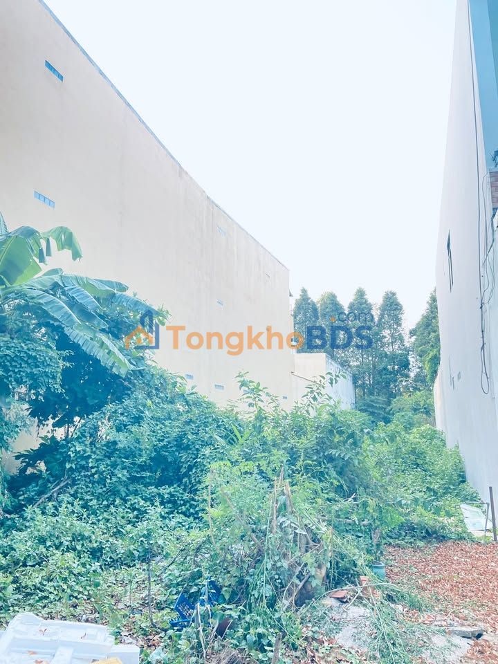 Mặt bằng Nguyễn Đệ, Ninh Kiều - 800m², 40 triệu/tháng, kinh doanh đa ngành