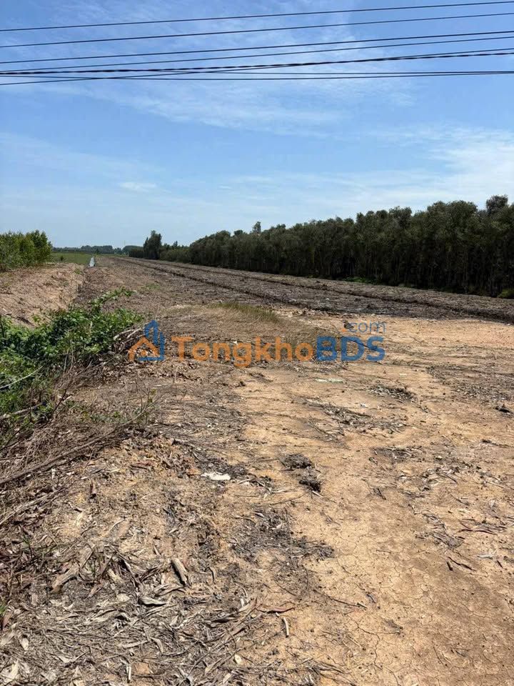 Bán Đất Nền Thạnh Hóa Long An 25.000m² Mặt Tiền Quốc Lộ 62 - Giá Thỏa Thuận