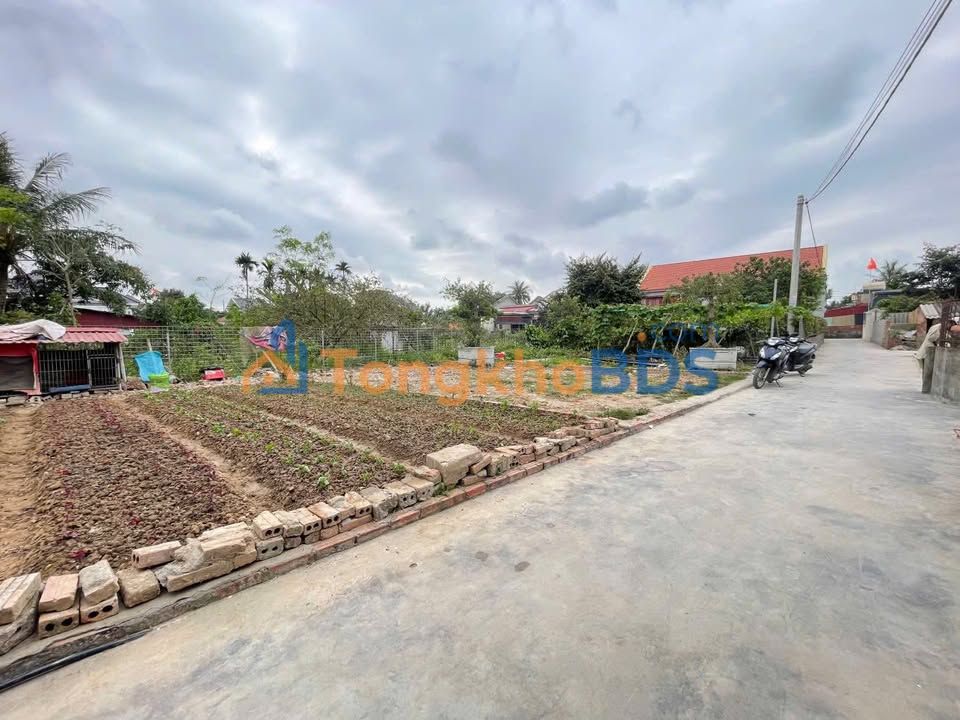 Đất nền An Lão, Hải Phòng - 73m² - Giá mềm 6xx triệu - Đầu tư sinh lời