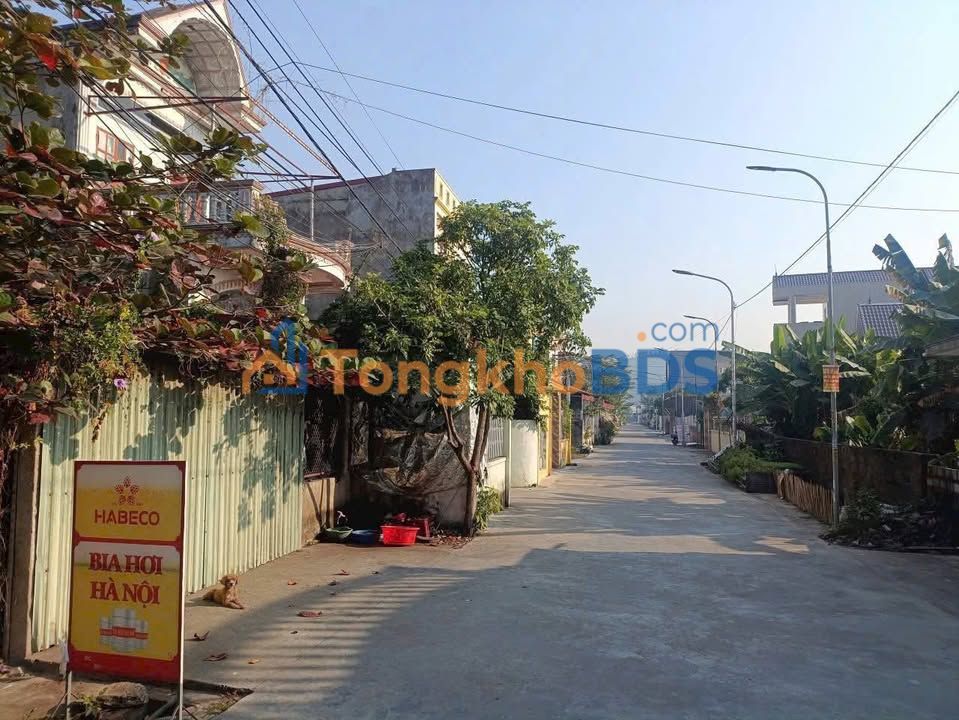 Nhà Mặt Tiền An Thắng, An Lão, HP - Kinh Doanh Đắc Lợi, 100m², Ngang 5.5m