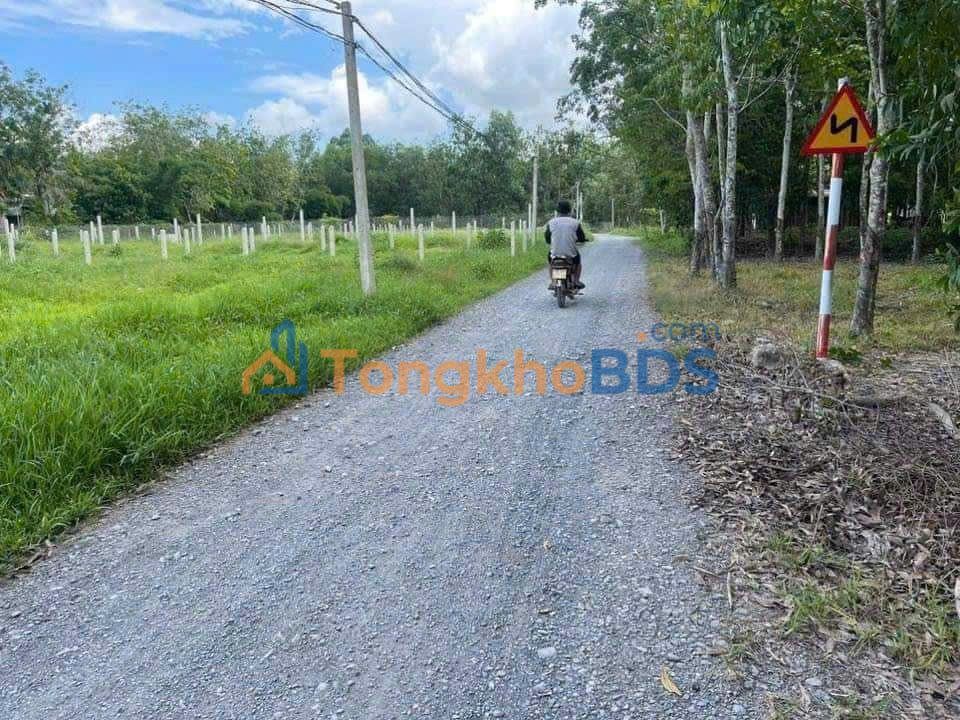 Đất Gò Dầu Tây Ninh 2000m² Sổ Đỏ, Đường Ô Tô - Giá 2 Tỷ