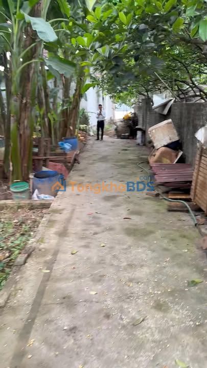 Bán đất 55m² Đan Phượng - Đường ô tô, gần trường học