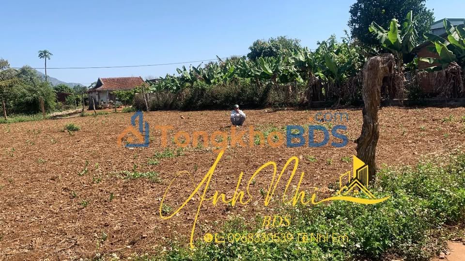 Bán Đất Biển Hồ Pleiku 108m² - Giá 399 Triệu Chính Chủ