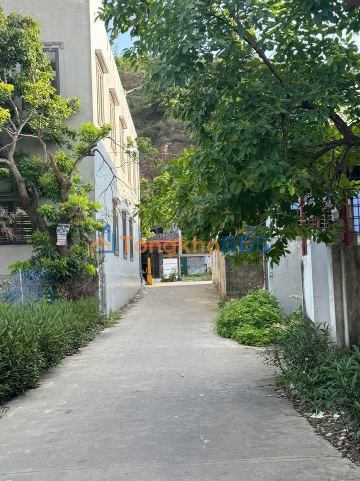 Bán 2 Lô Liền Kề 72m² Đường 360, An Dương - Sổ Đỏ Riêng, Ô Tô Tận Nơi