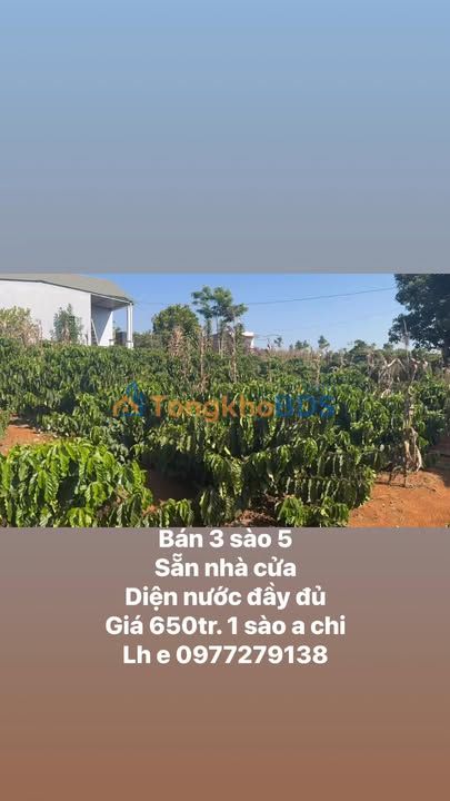 Bán Đất Vườn 10500m² Tỉnh Lâm Đồng - Có Nhà Cà Phê Sẵn Sàng Kinh Doanh