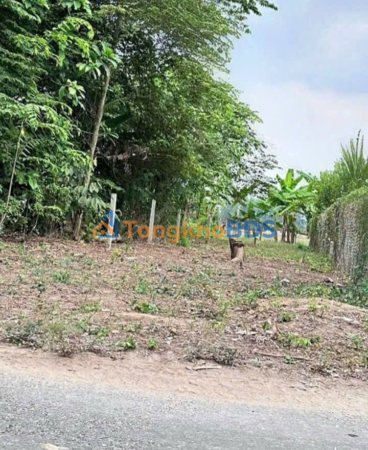 Bán Đất Sổ Hồng, 157.5m² Đường N1, Tân Châu, An Giang - Giá Tốt