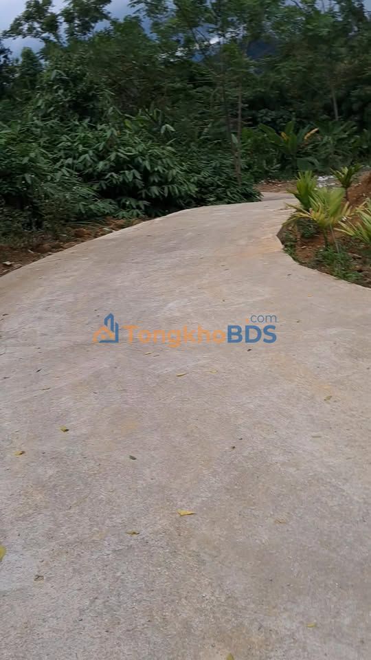 Cho thuê trang trại 1.5ha tại Hà Giang - Sẵn sàng canh tác, chăn nuôi