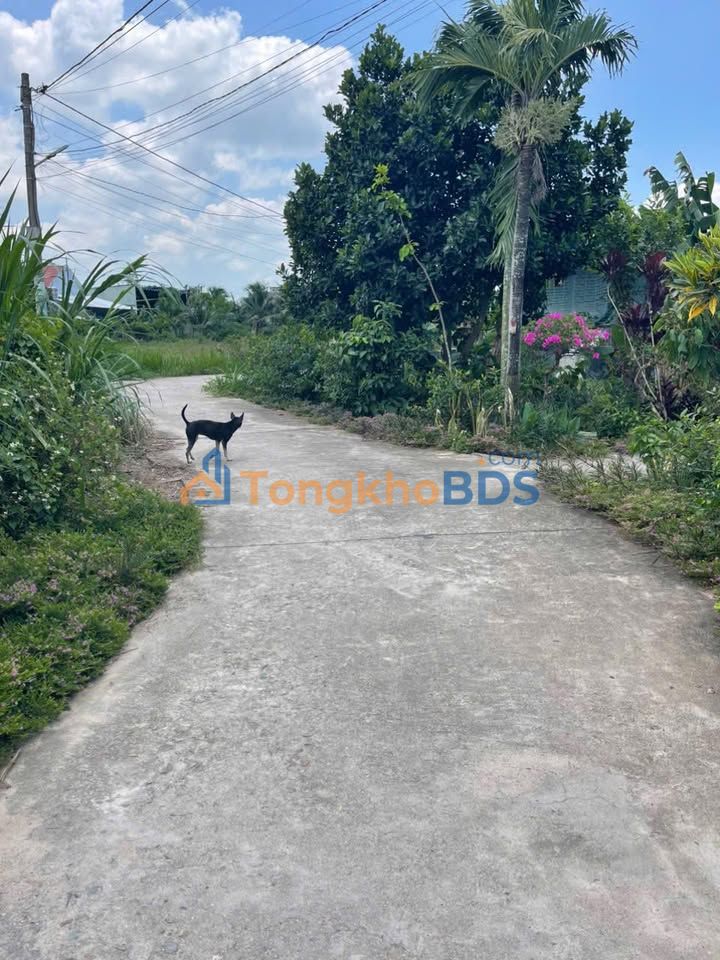 Đất Vườn Diên Khánh 250m² - Giá Tốt Gần KCN, Đón Sóng Hạ Tầng