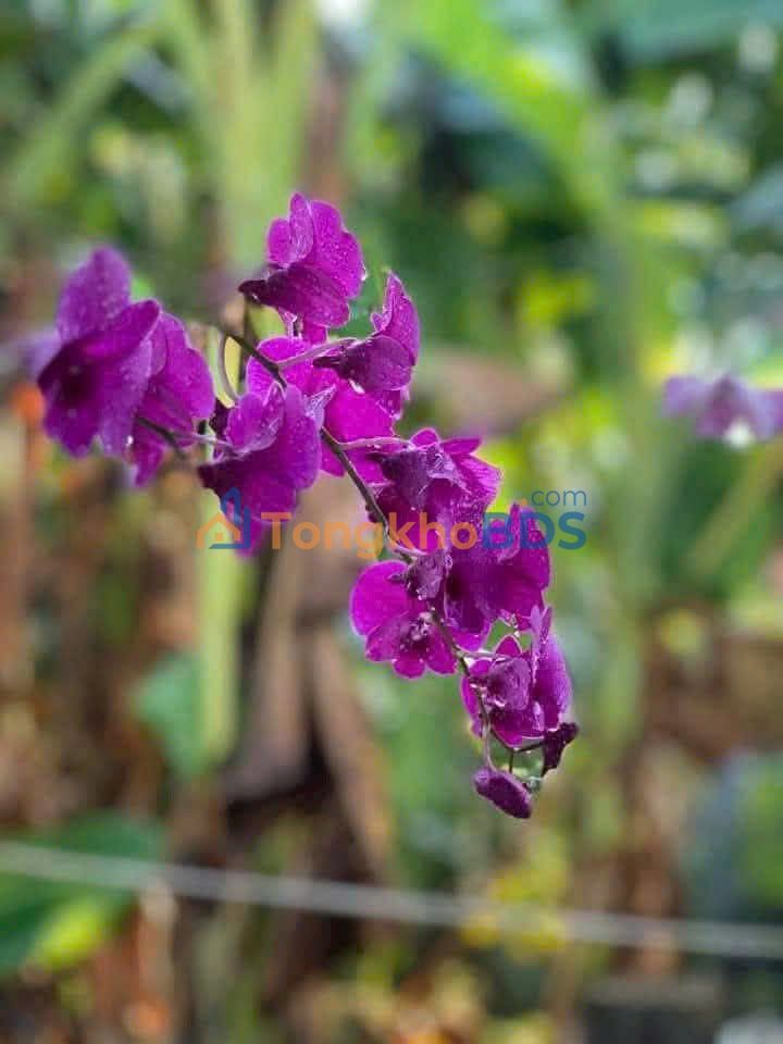 Mặt Tiền Điện Biên Phủ Q1 - Nhà 2 Tầng 95m² - Kinh Doanh Đắc Lợi