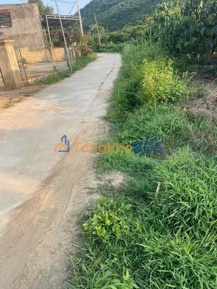 Bán Gấp Đất Vườn Củ Chi 1600m² - Sổ Đỏ Riêng - Giá Chỉ 400 Triệu