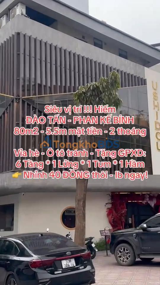 Nhà Mặt Tiền Đào Tấn 80m² - 2 Mặt Thoáng - Kinh Doanh Sầm Uất - 40 Tỷ